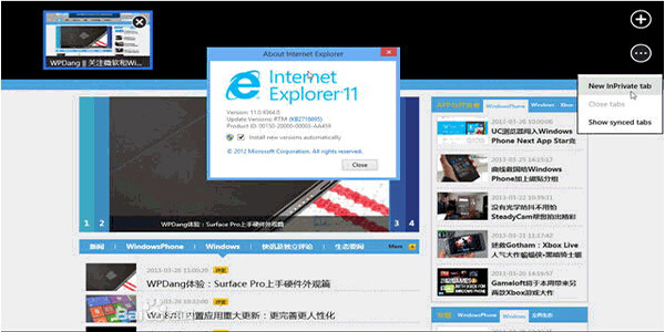 IE11 (Internet Explorer 11) screenshot