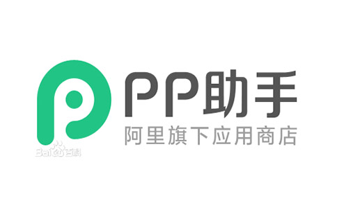 PP assistant