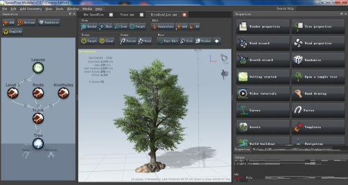 Speedtree introductory tutorial - tree growth animation