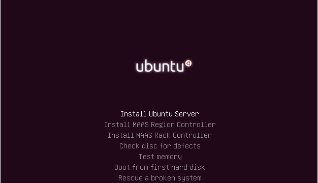 Ubuntu Server 64bit screenshot
