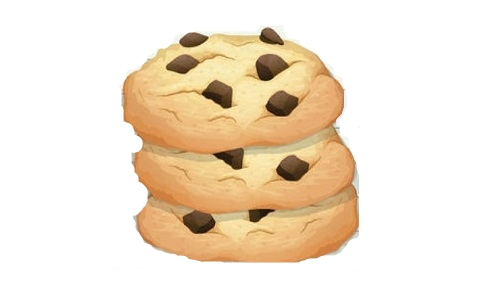 Flash Cookie Cleaning Tool Section First LOGO