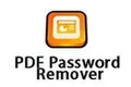 PDF Password Remover paragraph first LOGO