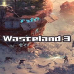 Wasteland 3