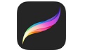 Procreate paragraph first LOGO