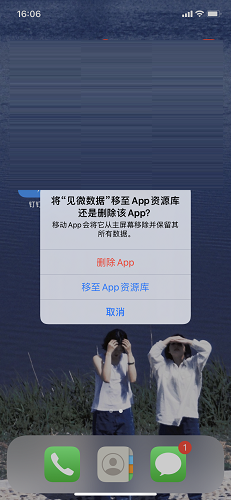See microdata screenshot
