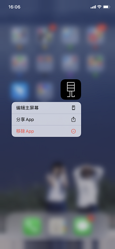 See microdata screenshot
