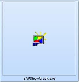 SAPShow screenshot