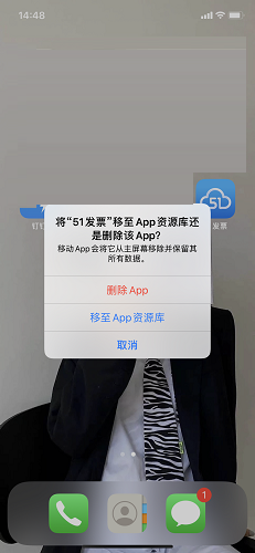 51 invoicing screenshot
