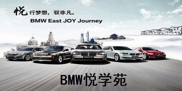 Screenshot of BMW Joy Academy