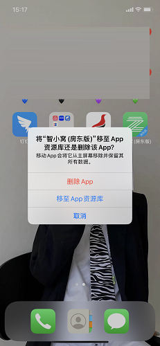 Screenshot of Zhixiaowo (landlord version)