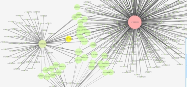 Cytoscape screenshot