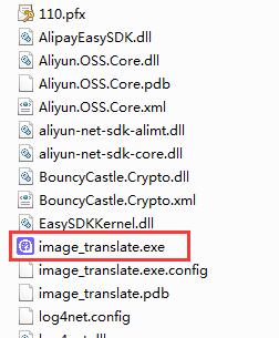 Screenshot of AI picture translation assistant