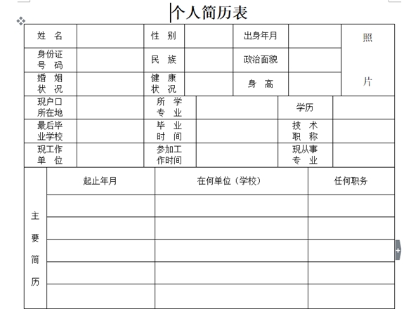 Screenshot of blank resume form