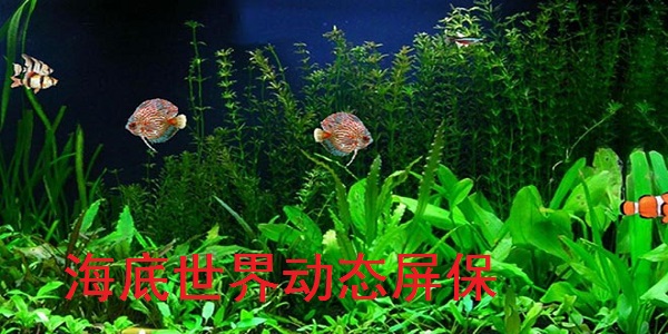 Underwater world dynamic screensaver screenshot