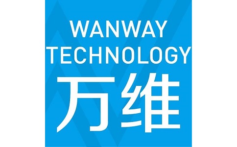 Duanshou LOGO of Wanwei fully automatic online examination platform