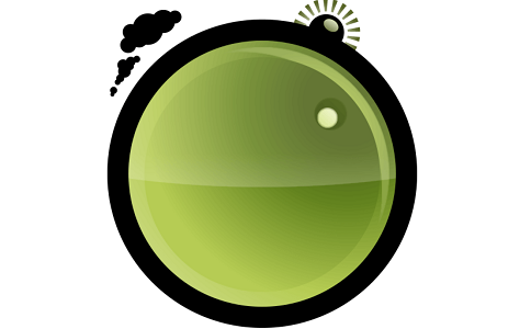 NCH PhotoStage electronic photo album slideshow production software segment first LOGO