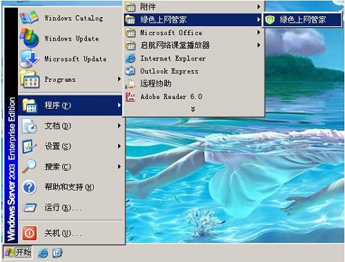 Screenshot of Green Internet Manager