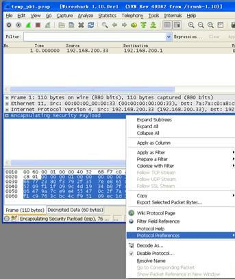 Screenshot of Ethernet packet sending tool (xcap)