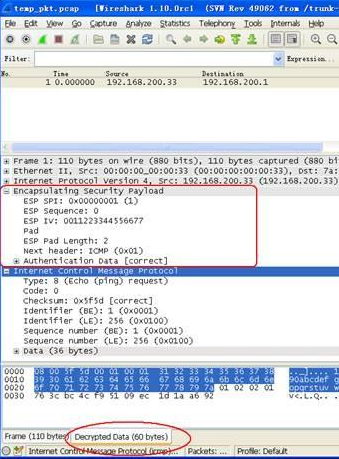 Screenshot of Ethernet packet sending tool (xcap)