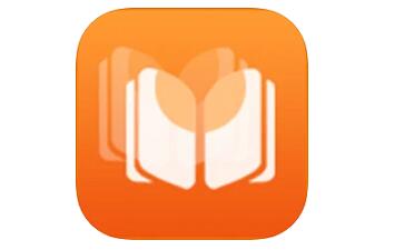 Aidu Novel Paragraph Logo