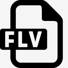 FLV video player