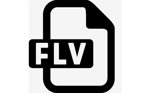 FLV video player segment first LOGO