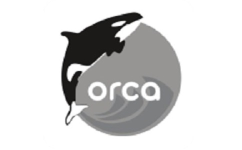 Orca