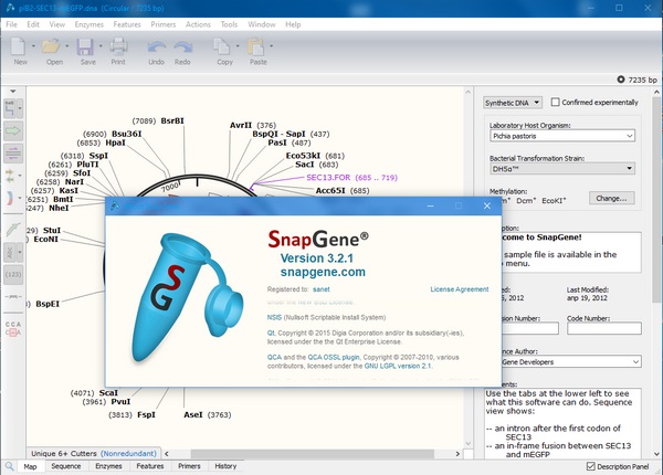 Screenshot of GSL Biotech SnapGene