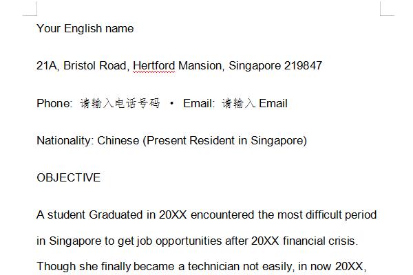 English version resume template screenshot