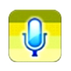 Voice reading novel reader