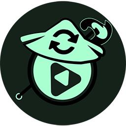 Zhuoyixia Video Format Converter