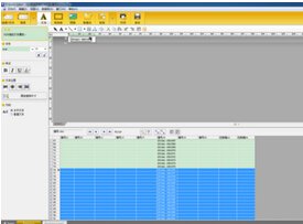 Screenshot of Zebra label editing and printing software (ZebraDesigner)