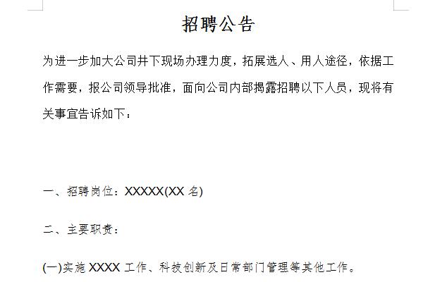 Recruitment resume template screenshot