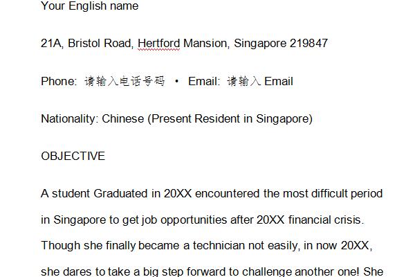 English resume screenshot