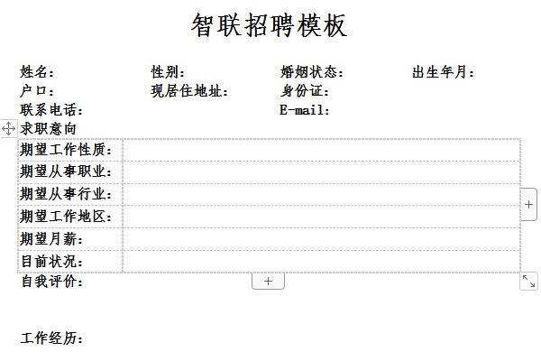 Screenshot of Zhaopin recruitment template