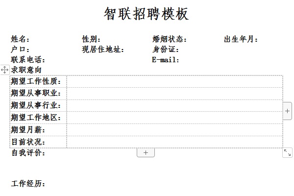 Resume template Zhaopin recruitment screenshot