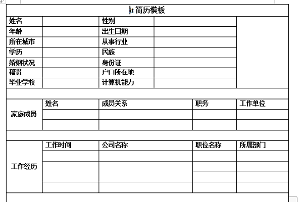 it industry resume template screenshot