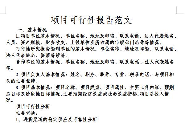 Feasibility project report sample screenshot