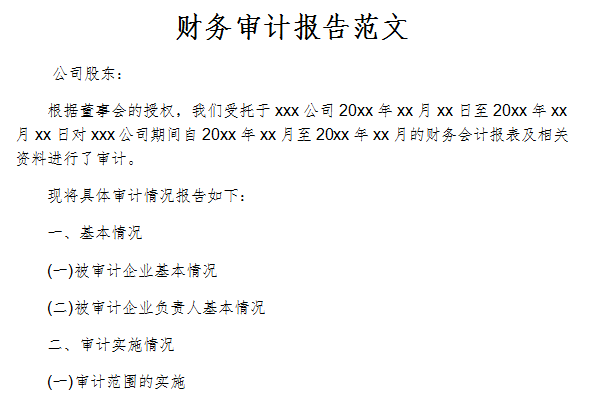 Screenshot of financial audit report template