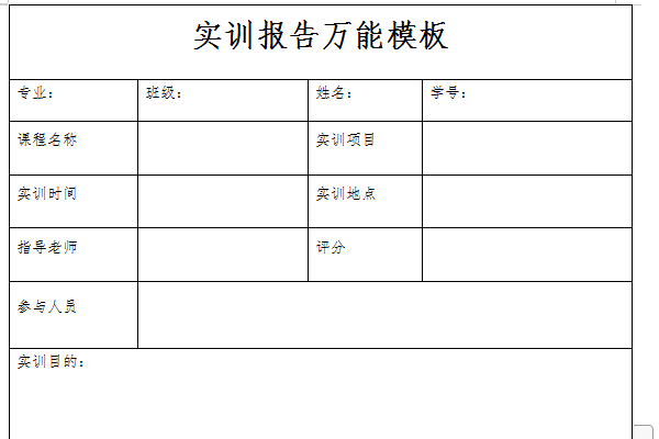 Screenshot of practical training report universal template