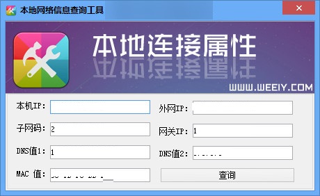 Screenshot of local IP address query