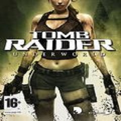 Tomb Raider 8