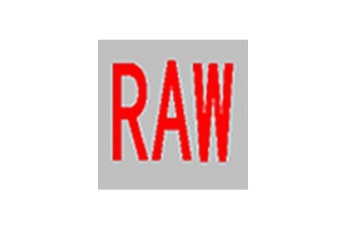 RAW Tools (RAW Repair Tool) Section LOGO