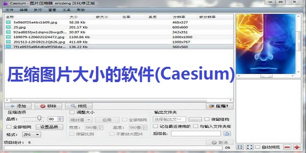 Screenshot of software (Caesium) that compresses image size