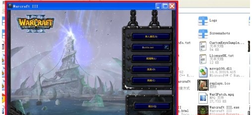 Screenshot of World of Warcraft windowing tool