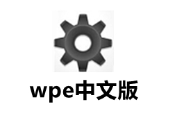 WPE Chinese Professional Edition