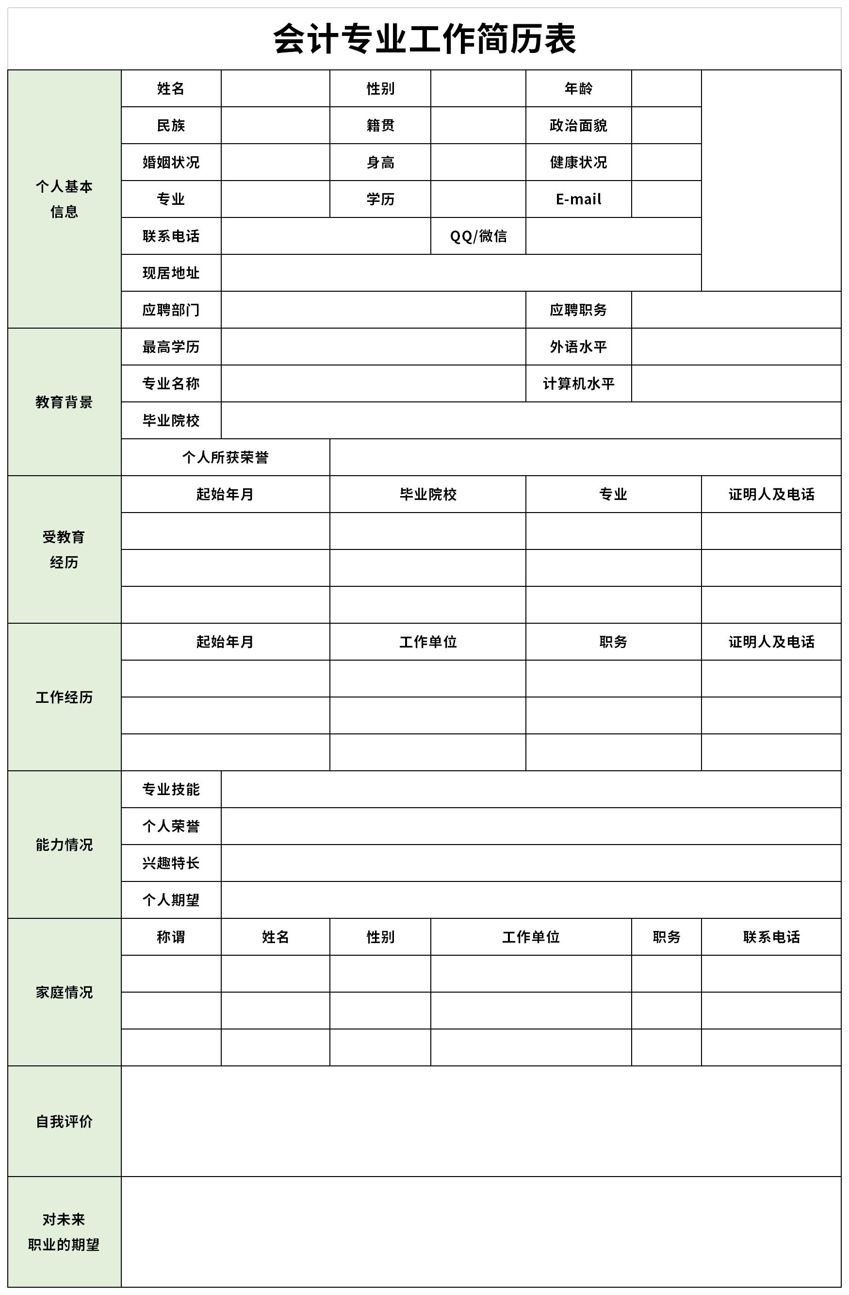 Screenshot of accounting professional resume form