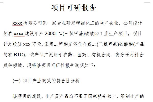 Project feasibility study report screenshot