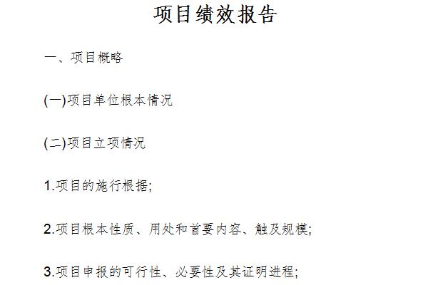 Project performance evaluation report screenshot
