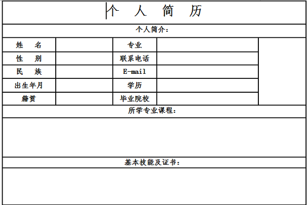 Screenshot of electronic version of resume